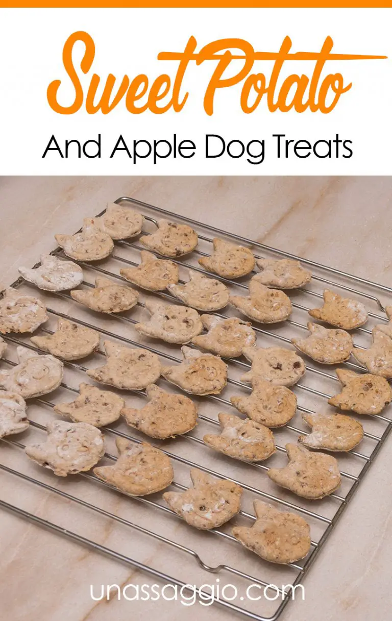 Sweet Potato And Apple Dog Treats UnAssaggio