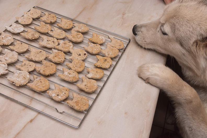 Sweet Potato And Apple Dog Treats