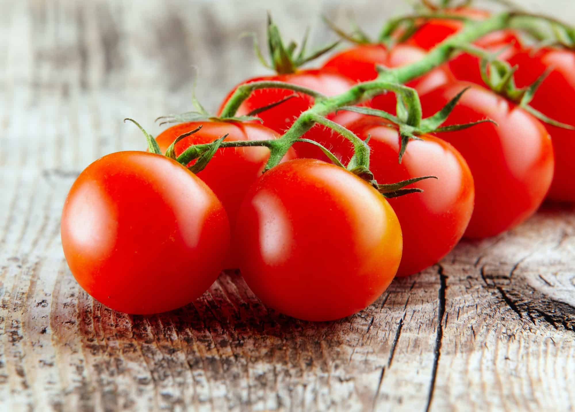 Why tomatoes split and how to prevent it unassaggio