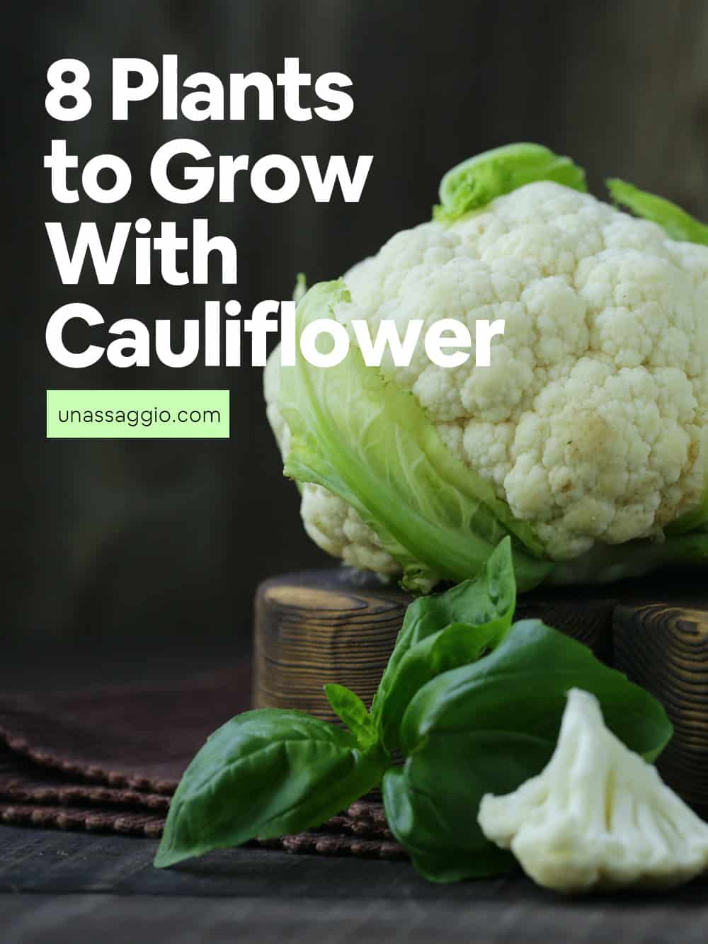 8 Plants to Grow With Cauliflower