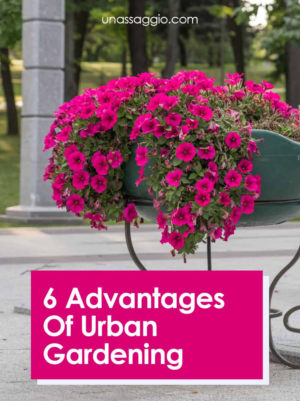 Advantages of  Urban Gardening