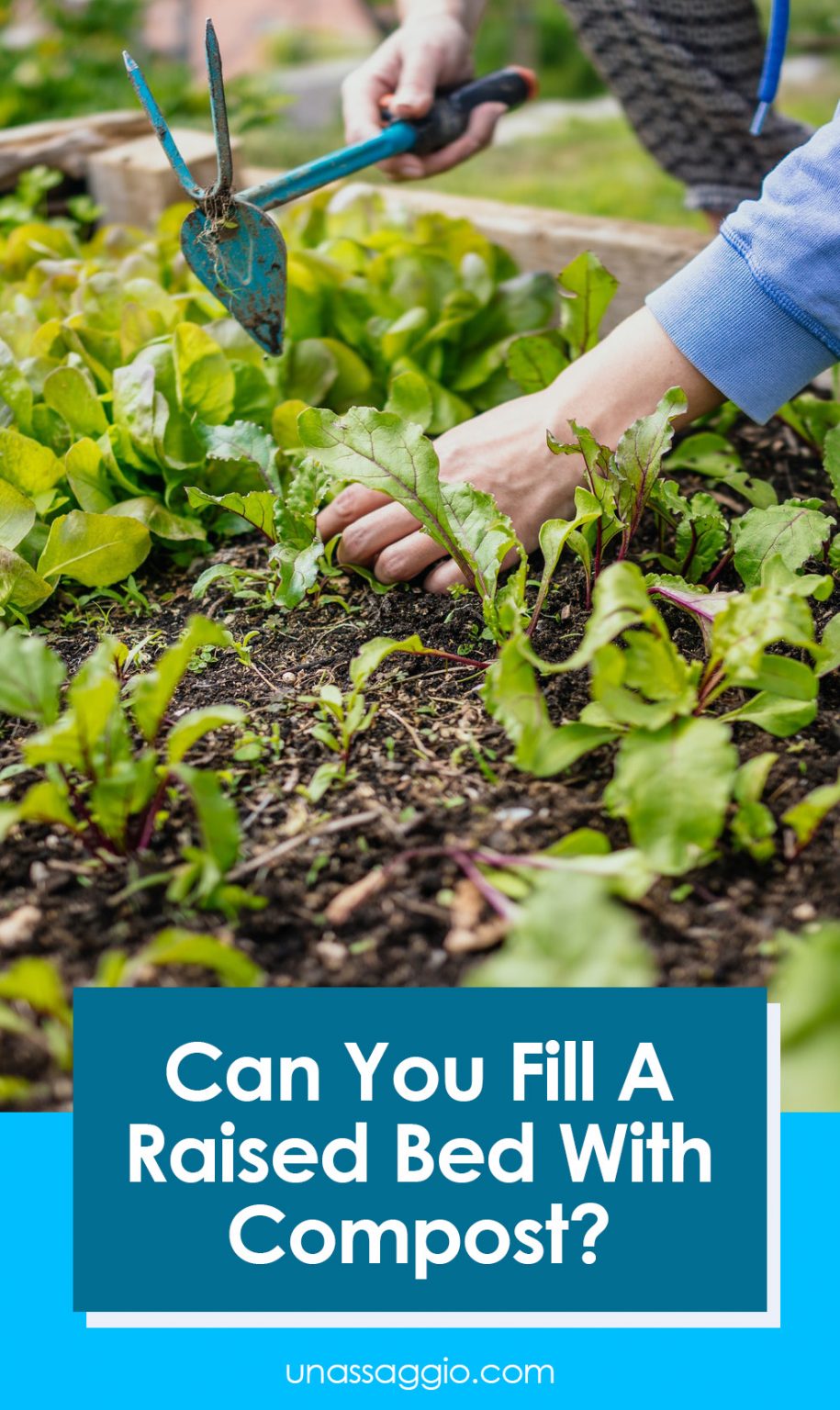 Can You Fill A Raised Bed With Compost? UnAssaggio