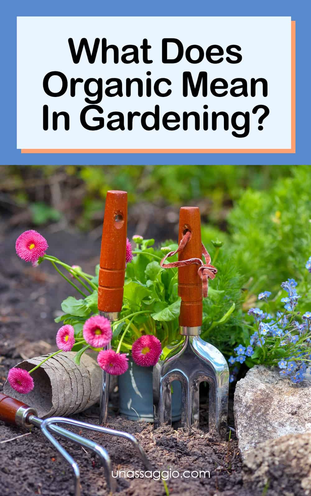 what-does-organic-mean-in-gardening-unassaggio