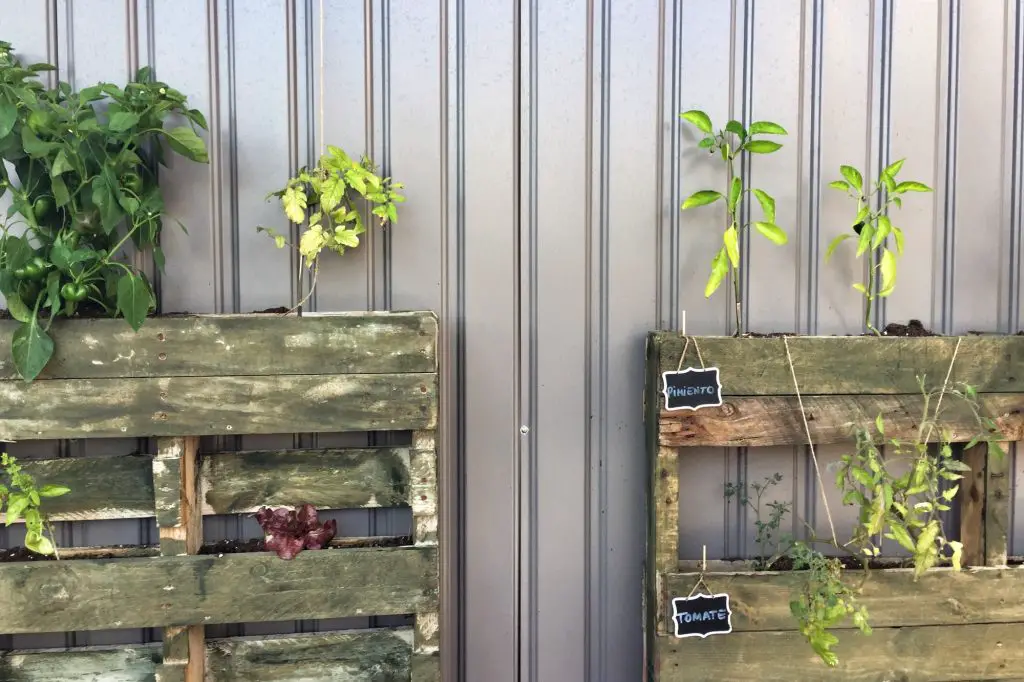 How To Make A Pallet Garden