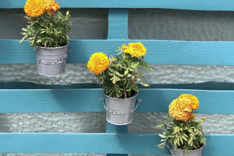How To Make A Pallet Garden (Complete Guide)