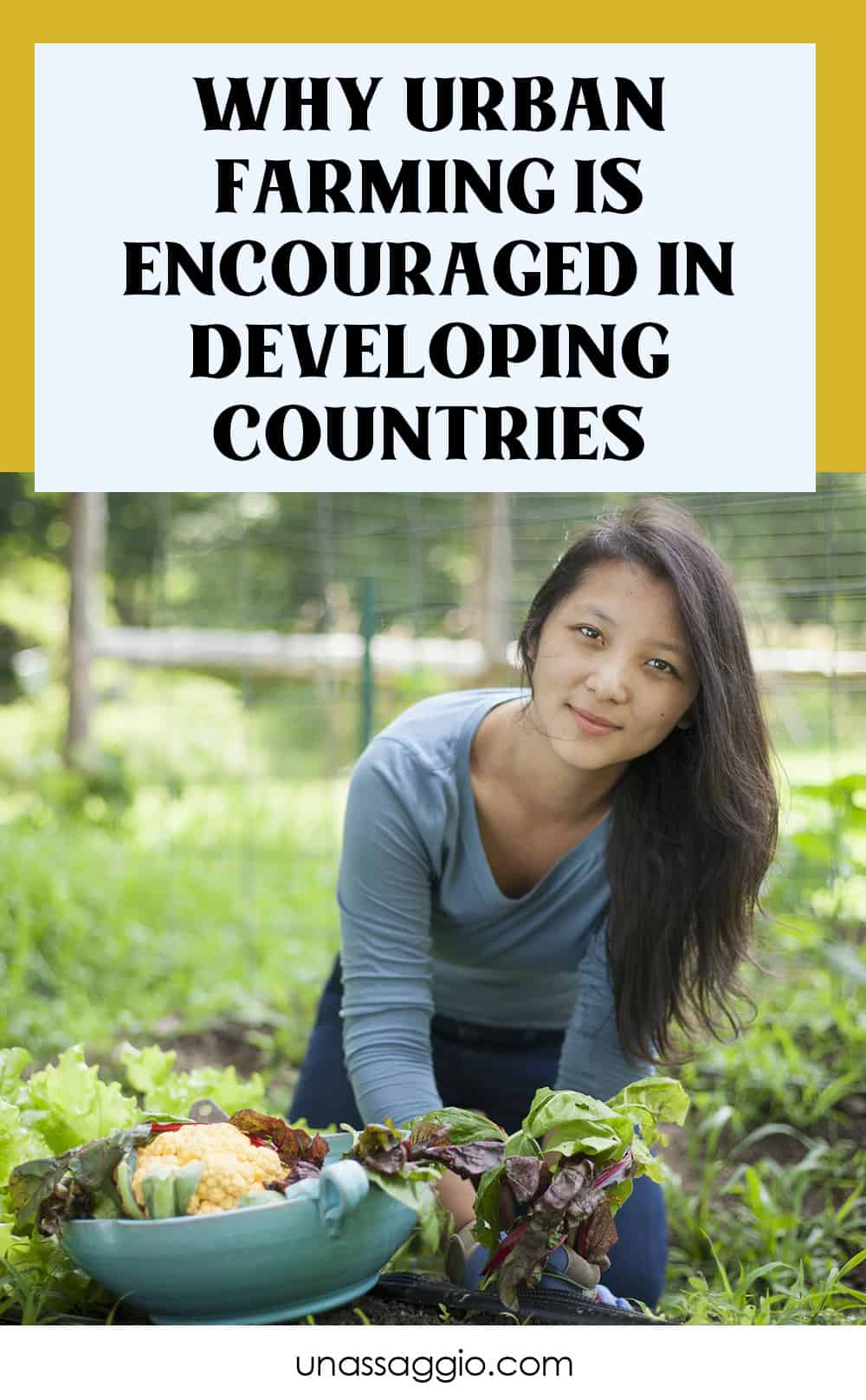 4 Reasons Why Urban Farming Is Encouraged In Developing Countries