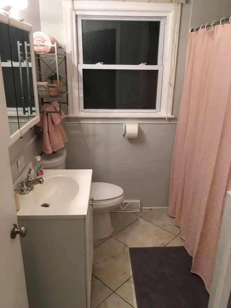 Pink And Gray Bathroom