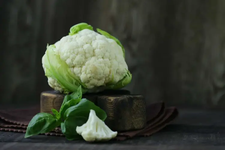 Cauliflower Companion Plants: 8 Plants to Grow With Cauliflower