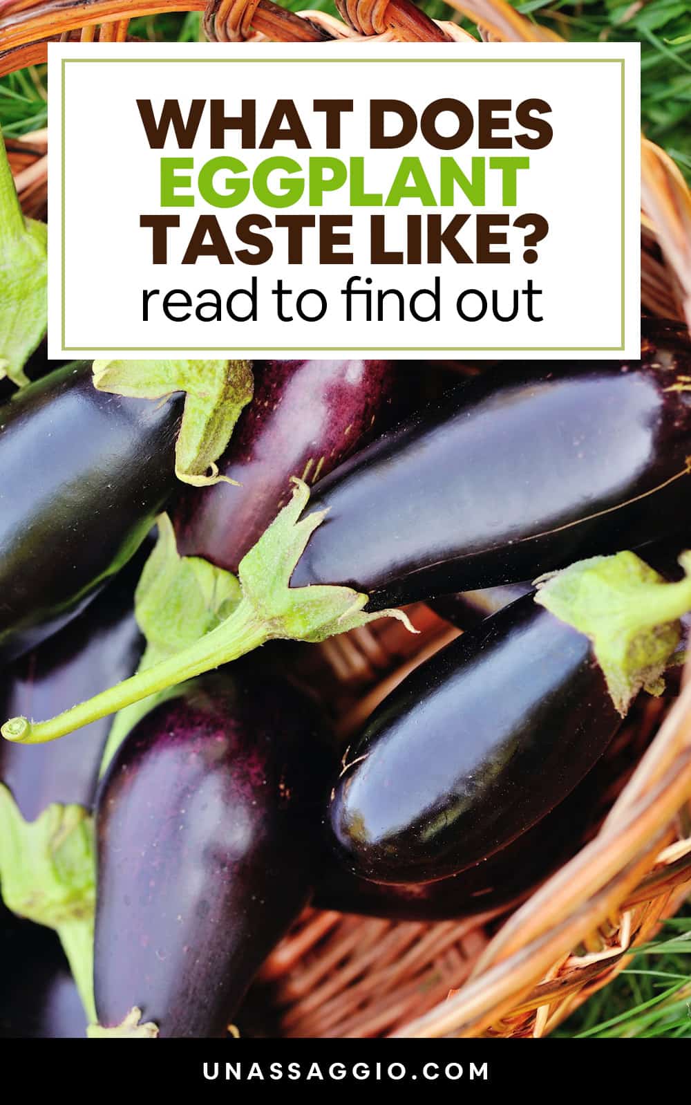 what does eggplant taste like