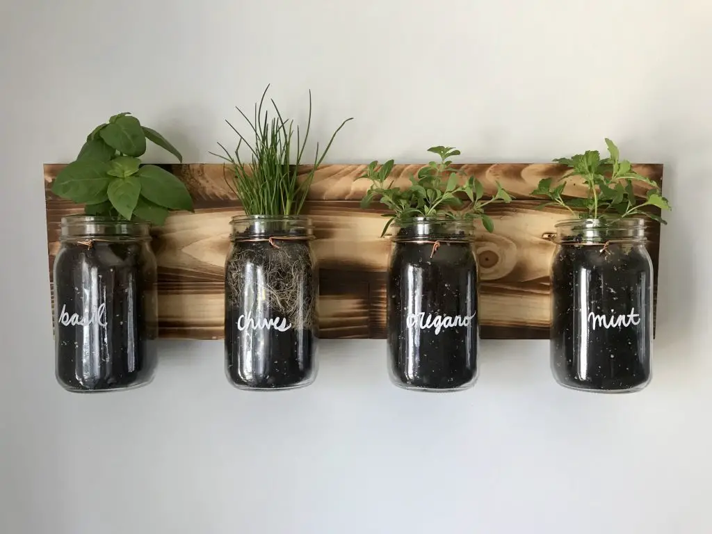 Indoor herb garden