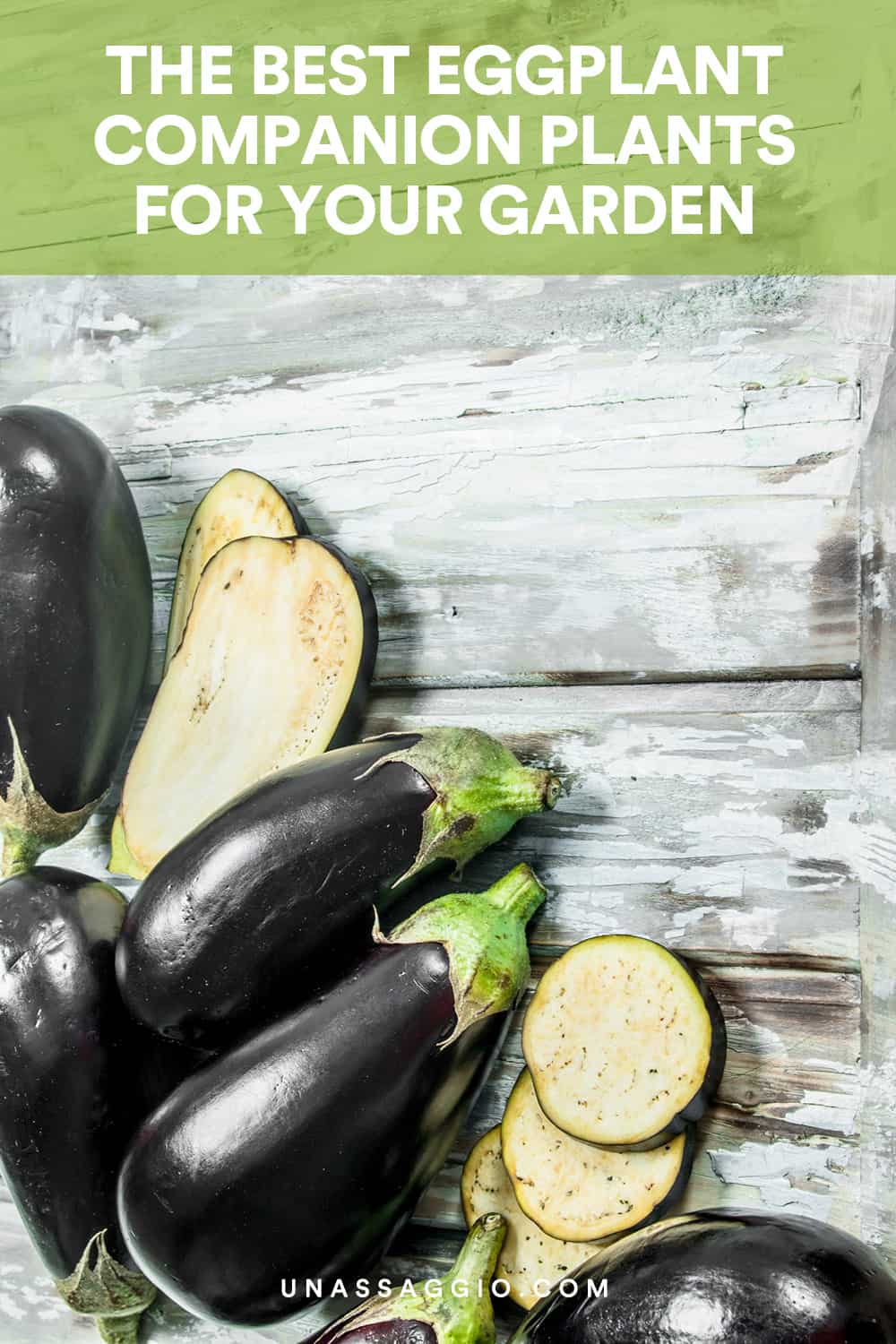 Eggplant Companion Plants 10 Best Plants To Grow With Eggplant