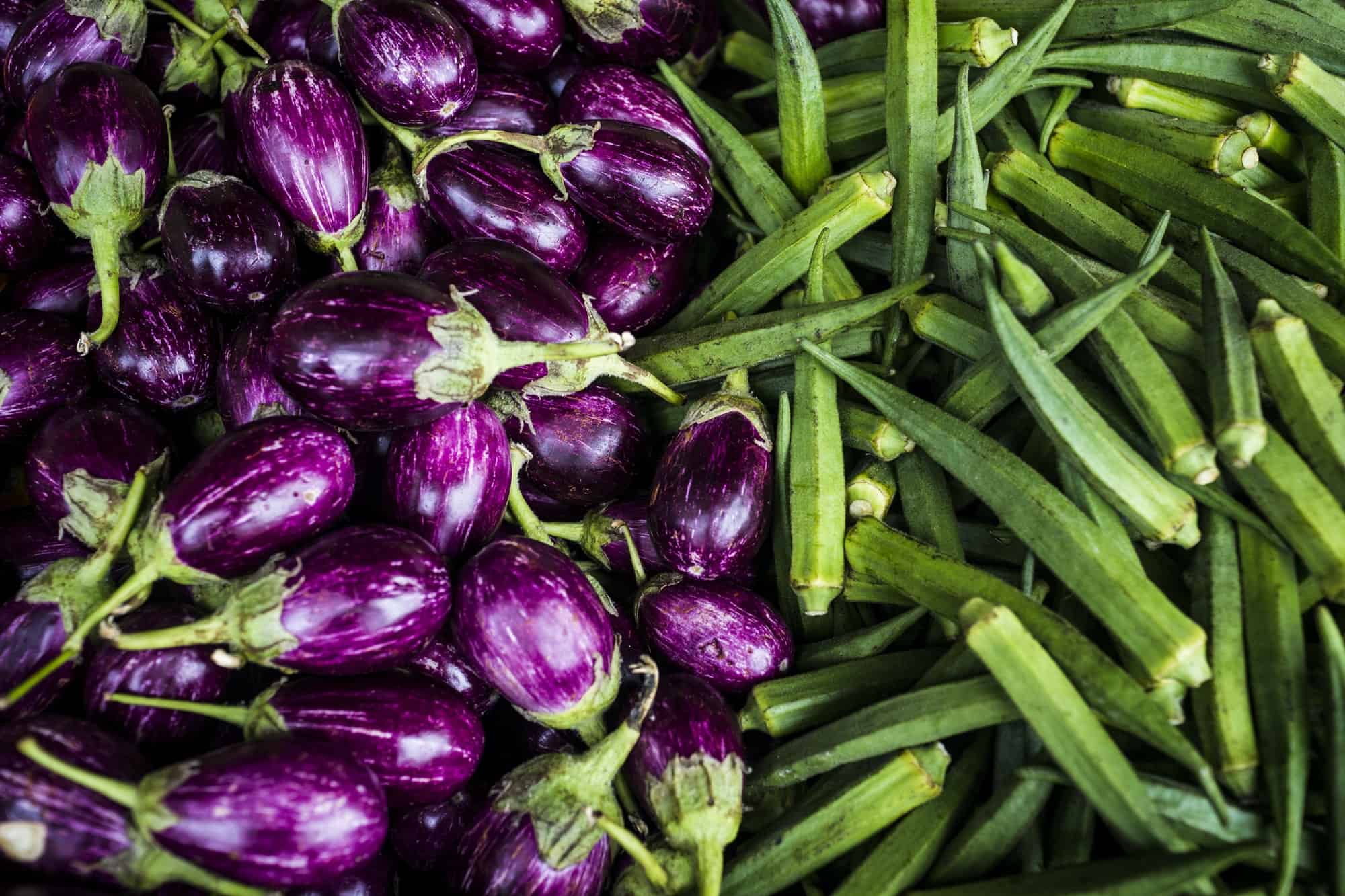 Image of Okra and eggplant companion planting image 4