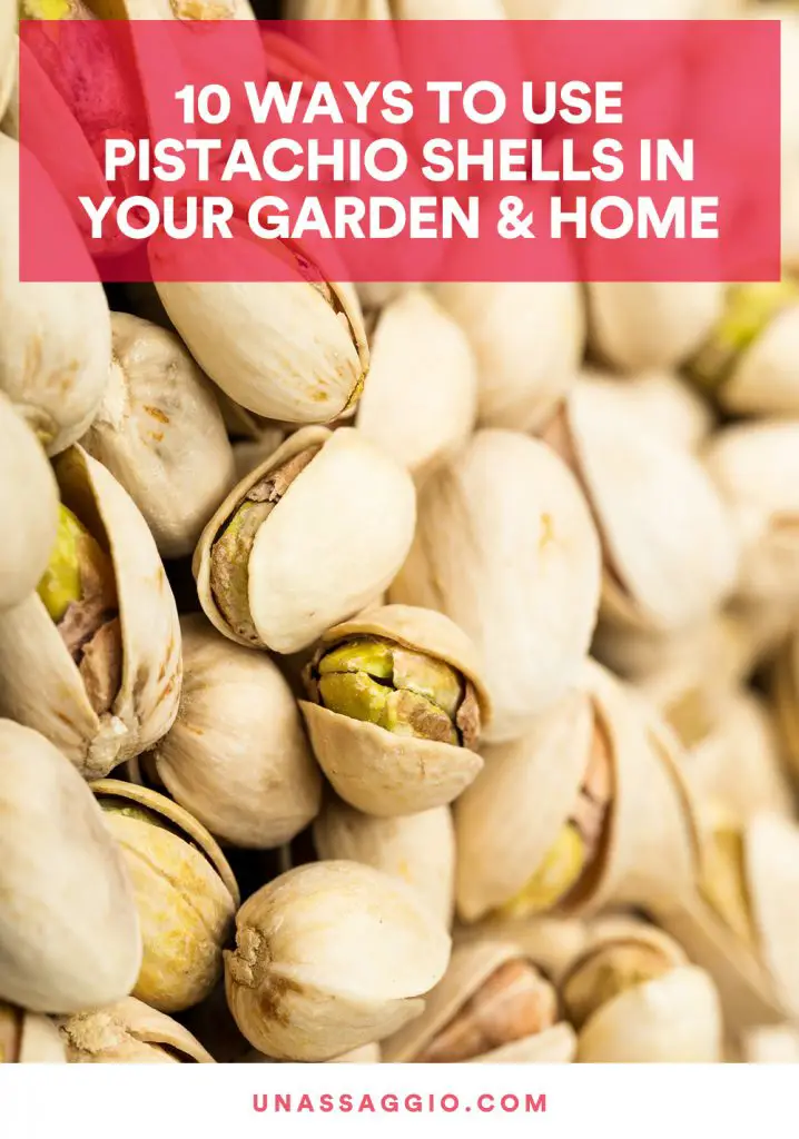 10 Ways To Use Pistachio Shells In Your Garden & Home UnAssaggio