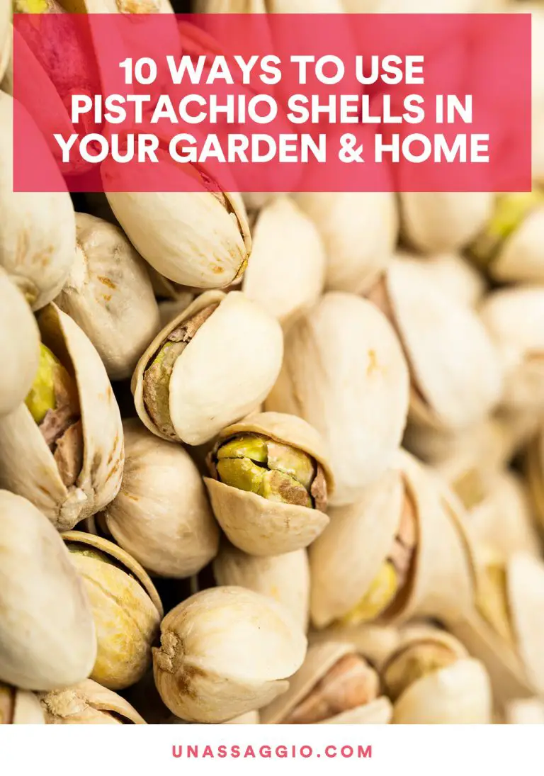 10 Ways To Use Pistachio Shells In Your Garden & Home UnAssaggio