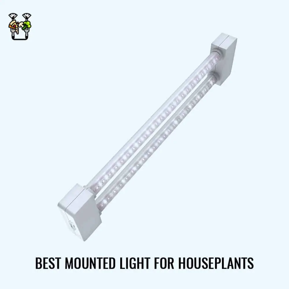Feit Electrical Dual Full Led Plant Grow Light- Best Mounted