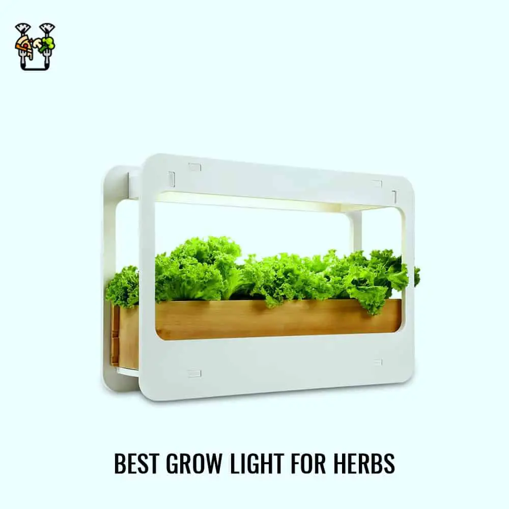 TorchStar Led Grow Light- Best For Herbs