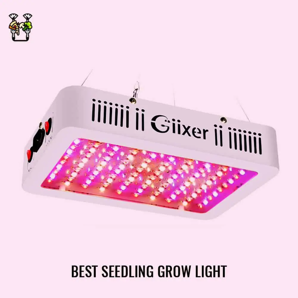 Giixer Led Grow Light- Best Seedling Grow Light