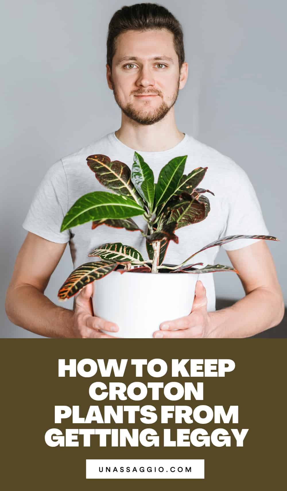 How to Keep Croton Plants From Getting Leggy