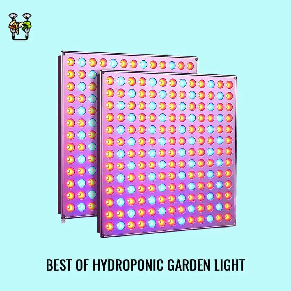 Roleadro Grow Light- Best Hydroponic Garden Light