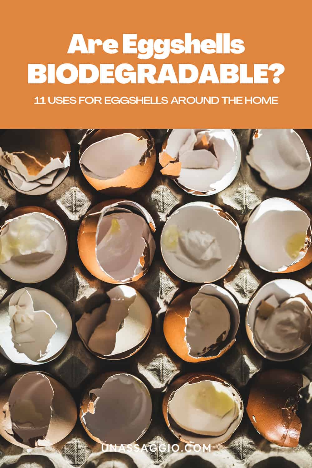 11 Uses For Eggshells Around The Home - Eggshells biodegradable