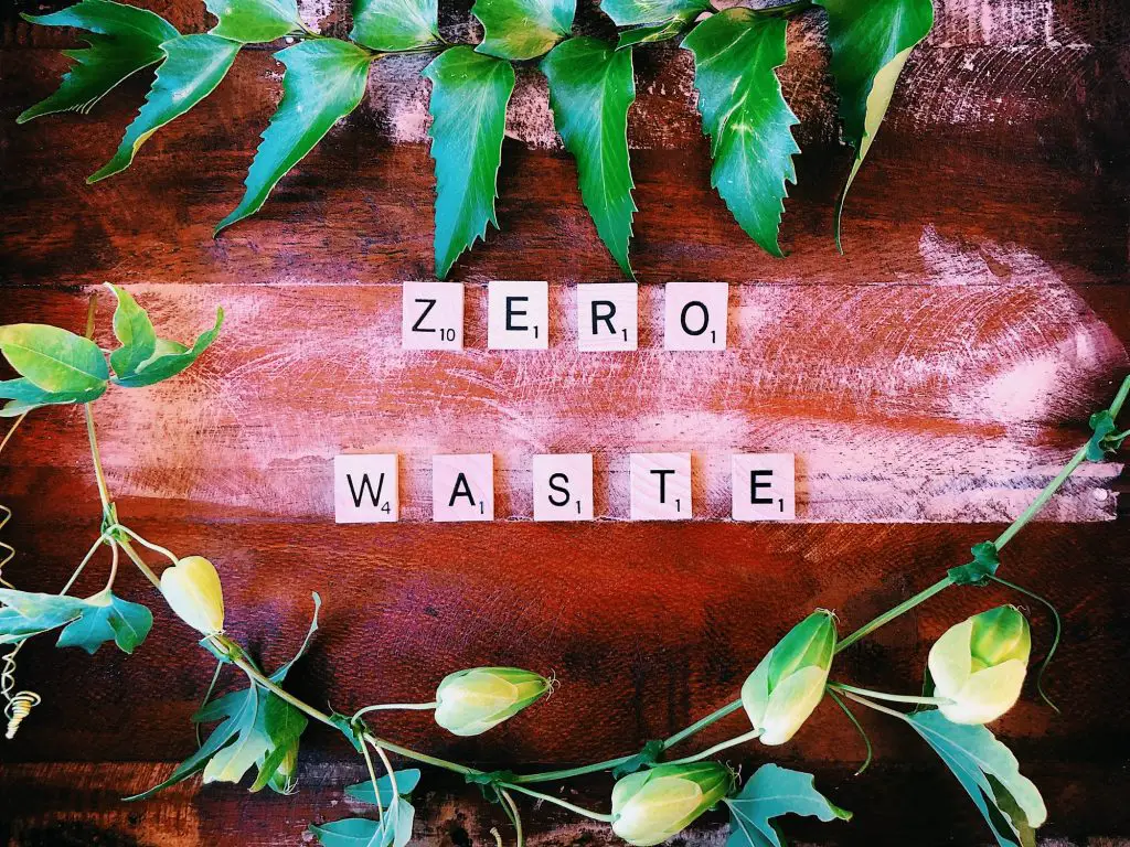 Best Zero Waste Blogs