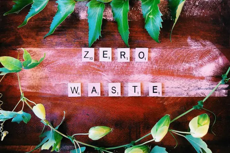 Best Zero Waste Blogs