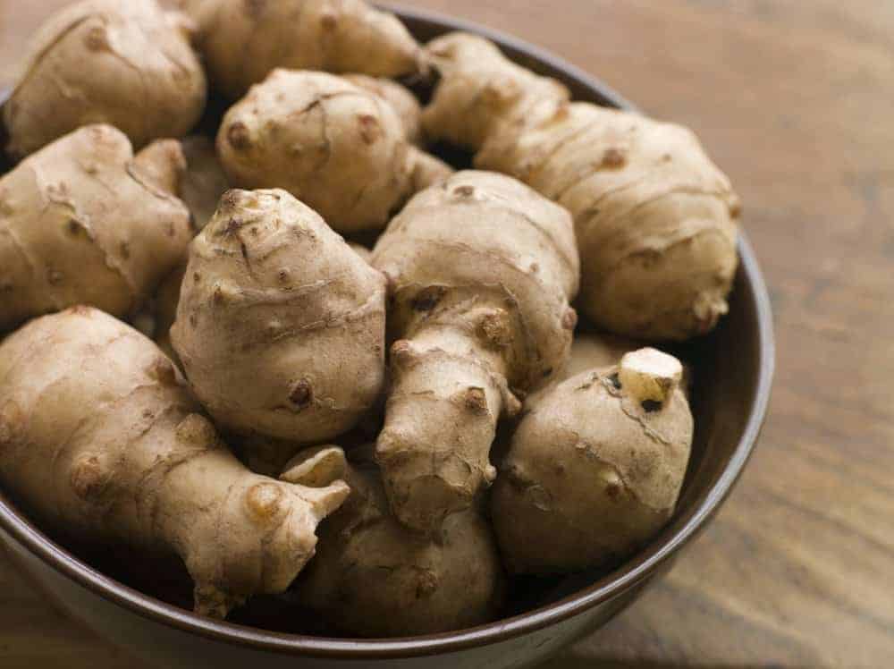 Jerusalem artichokes  edible perennial vegetables that grow back every year